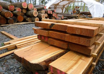 timber at long wood, lampeter