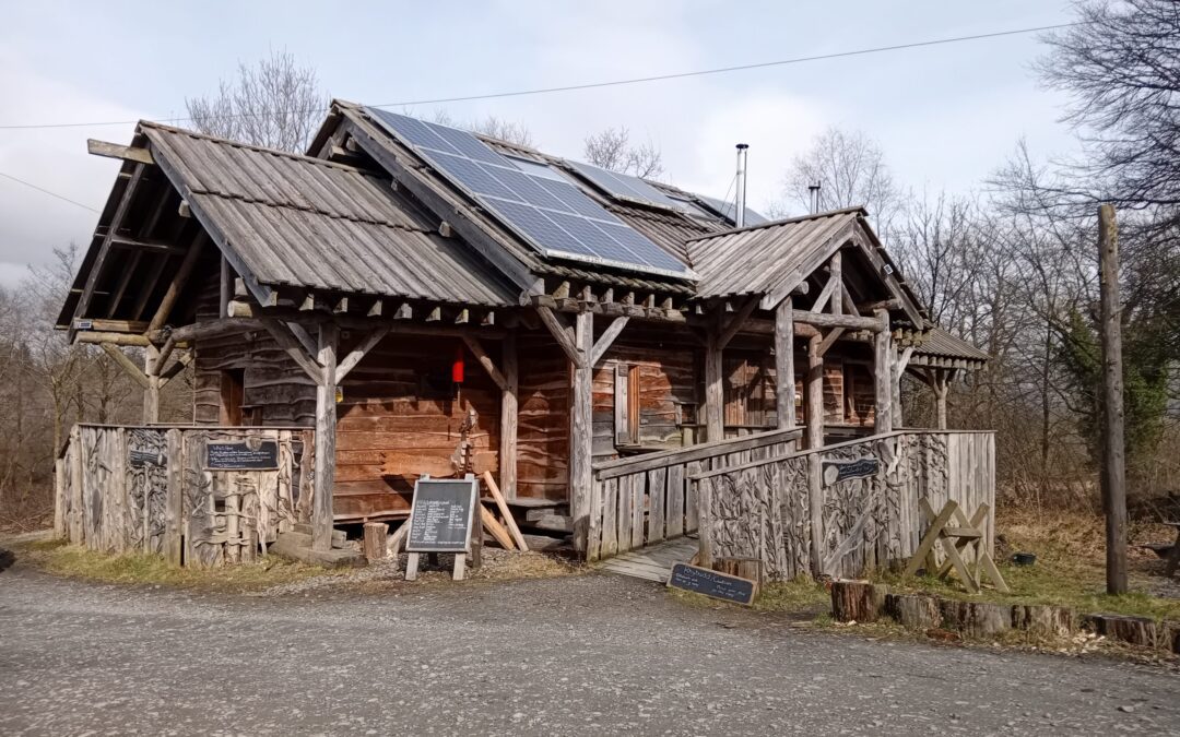 How Grants Help Longwood Community Woodland Thrive