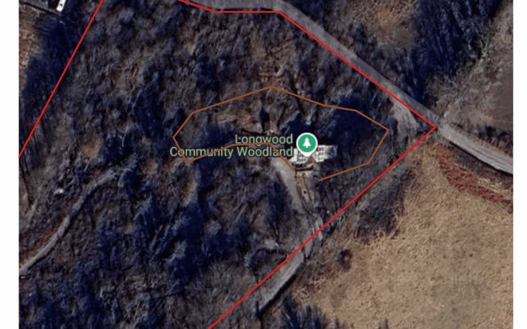 🐉 The Dragon Sensory Trail: A Family Adventure in Nature