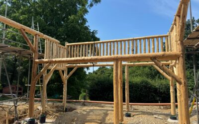 Sustainable Roundwood Douglas Fir Building