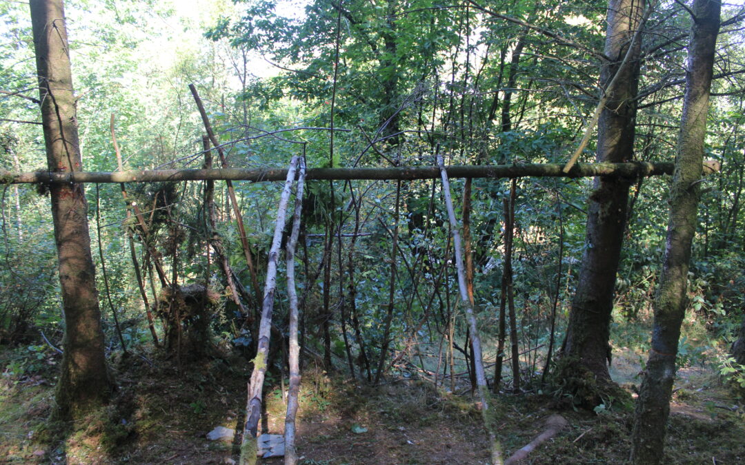 Damaging trees to make makeshift hides