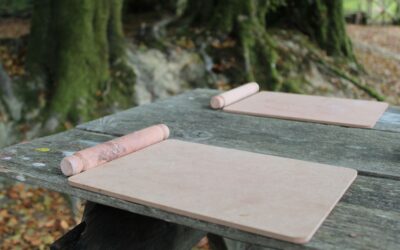 Creative DASH Ceredigion Summer Sessions at Longwood
