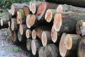 Wood stack