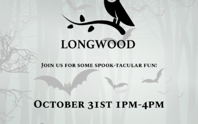 Halloween in Longwood | 31st October 2026